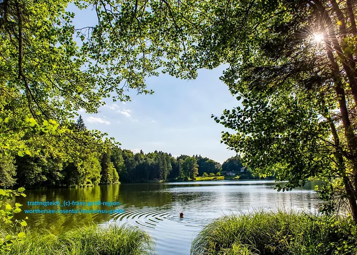 Apartament Gabriel *