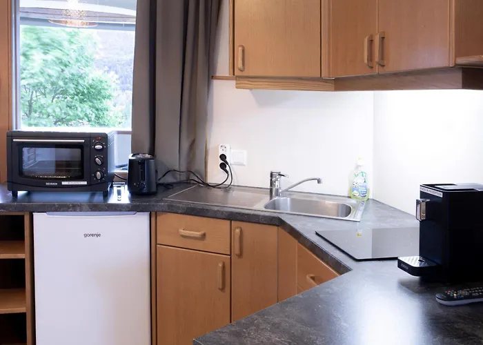 Apartament Gabriel *